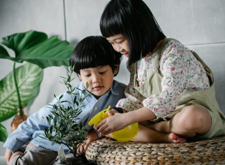 Cute Asian brother and sister taking care of green plant and spraying it with bottle