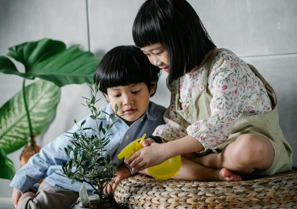 Cute Asian brother and sister taking care of green plant and spraying it with bottle